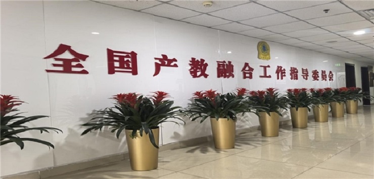 1771120139148285.jpeg 1771120139148285.jpeg